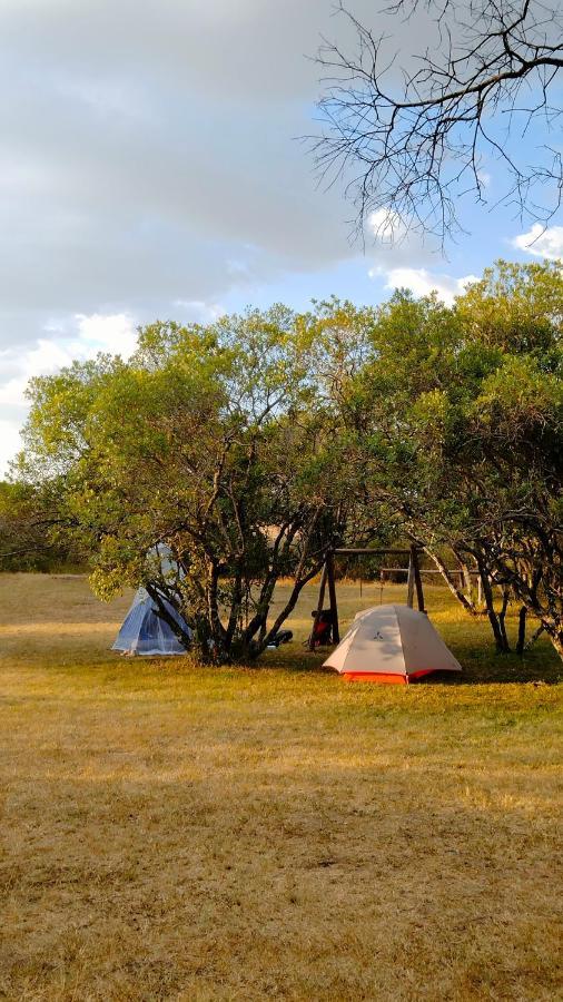 Greenwood Safari Camp Talek Exterior foto